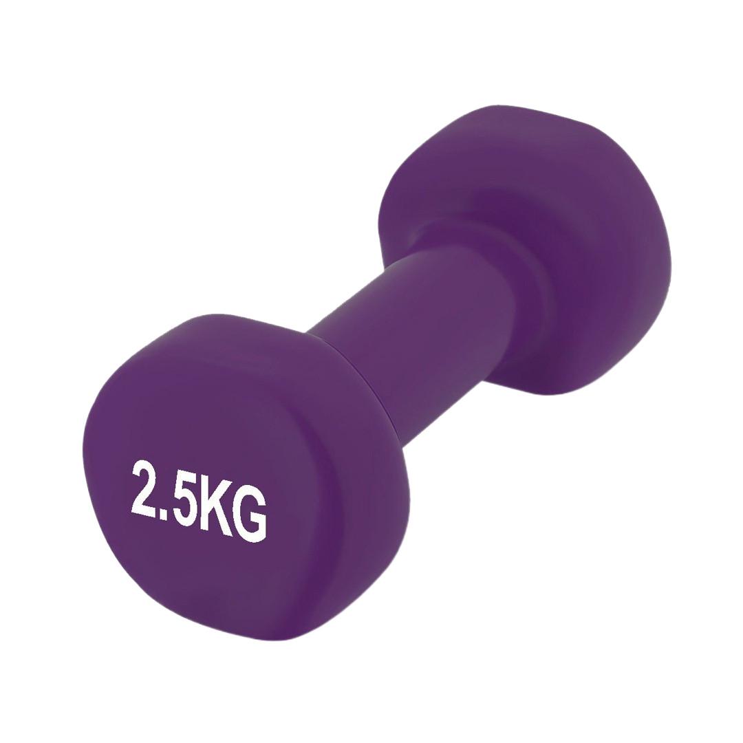 Гантель вініловий PowerPlay 4125 Achilles 2,5 кг 1 шт. Фіолетовий (PP_4125_2.5kg)