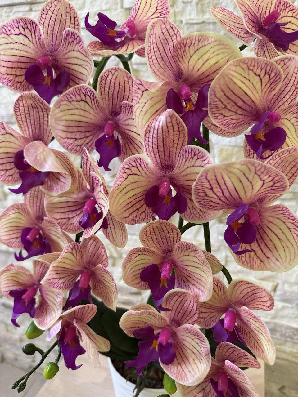 Вазон орхідея ПЛАСТМАКС латексна на дві гілки Тигровий (O27) - фото 3