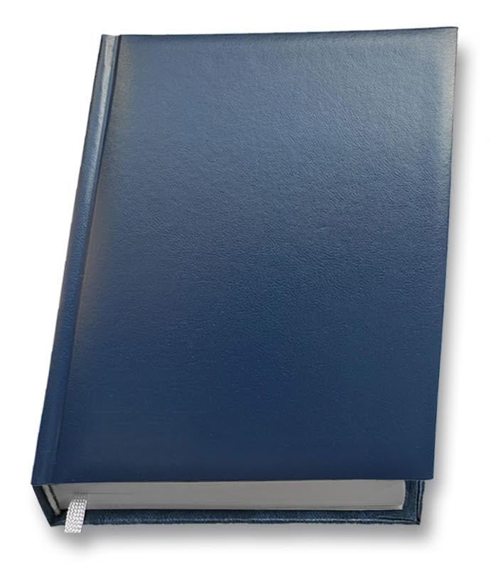 Дневник недатированный Руслан А5 168 листов (RLN10190)