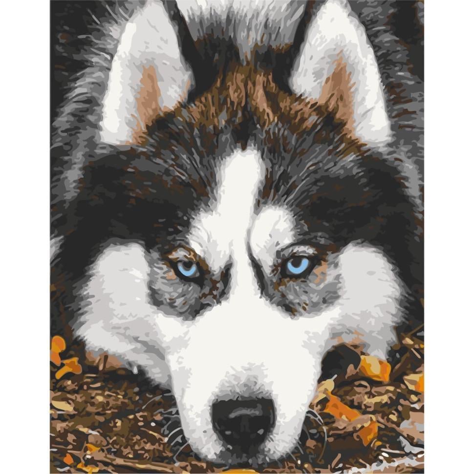 Картина за номерами ART CRAFT Засмучений хаски 40x50 см Різнокольоровий (PM-194-K-803) Картина за номерами ART CRAFT Засмучений хаски 40x50 см Різнокольоровий (PM-194-K-803)