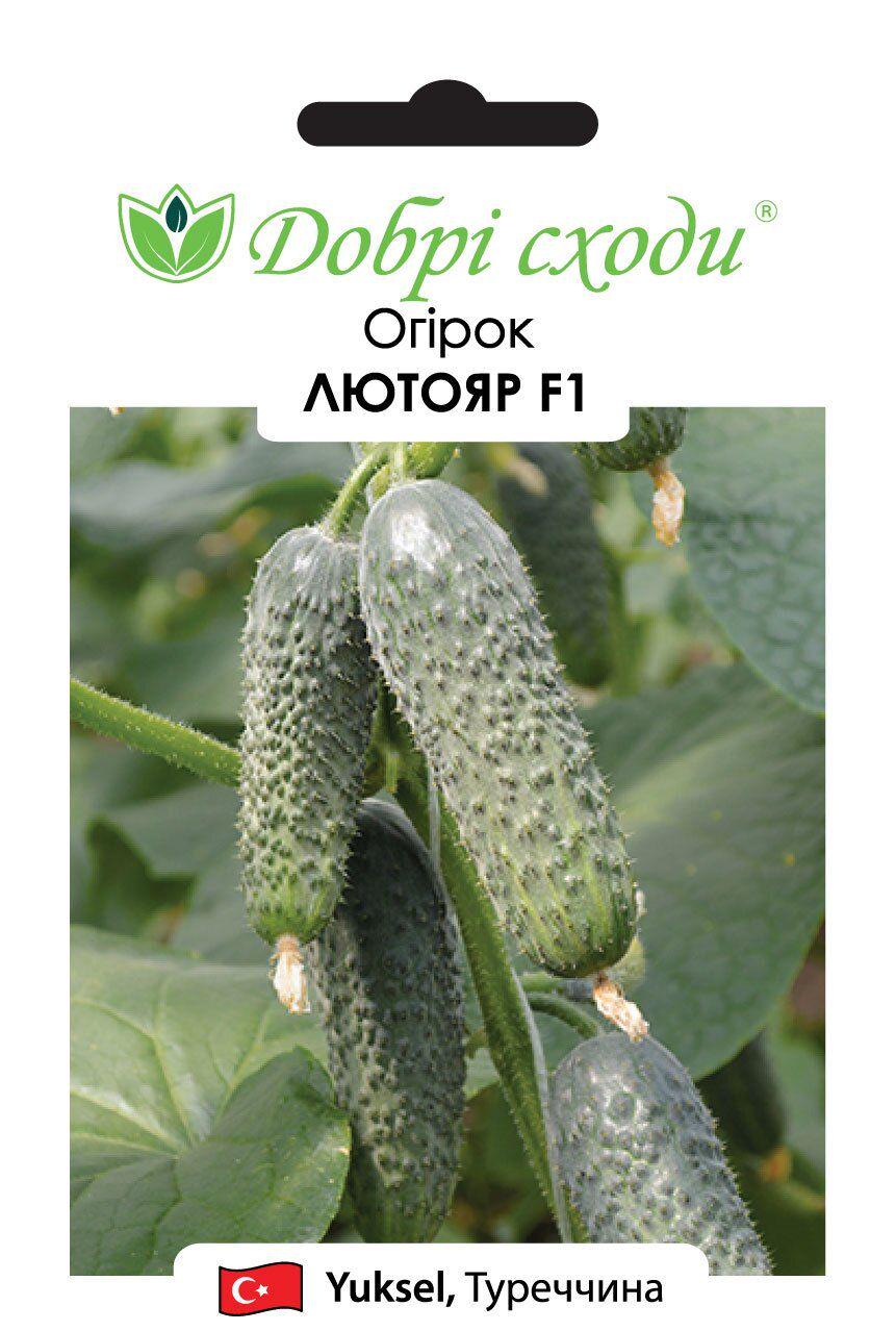 Насіння огірків Лютояр F1 (3347)