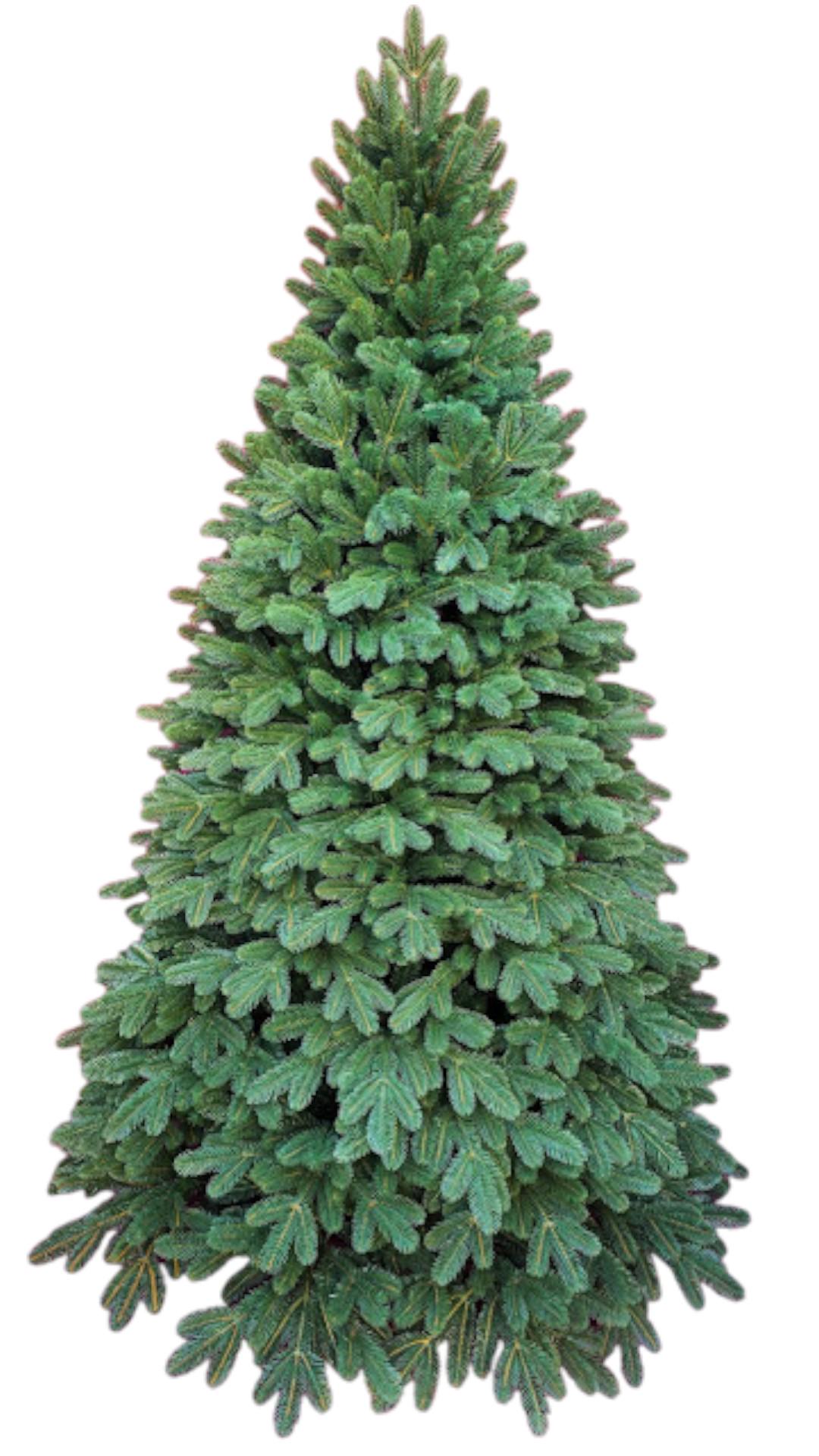 Искусственная елка новогодняя Рояль на крабах с саморазворачивающимся механизмом Umbrella 2,30 м Зеленый (147-41-Рояль-230 ) Искусственная елка новогодняя Рояль на крабах с саморазворачивающимся механизмом Umbrella 2,30 м Зеленый (147-41-Рояль-230 )