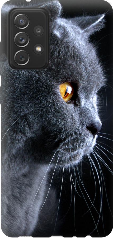 Чехол на Samsung Galaxy A72 A725F Красивый кот (3038t-2247-42517)