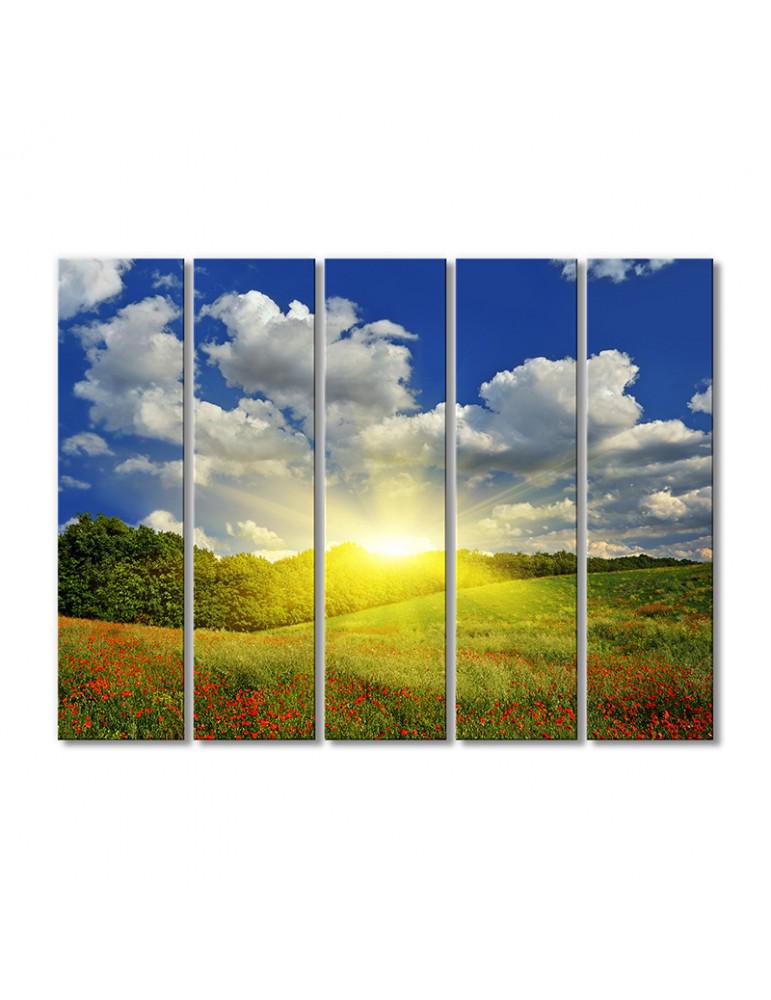 Картина модульная Солнечные лучи над маковым полем 5 модулей 70x105 см (220542Pejzazh)