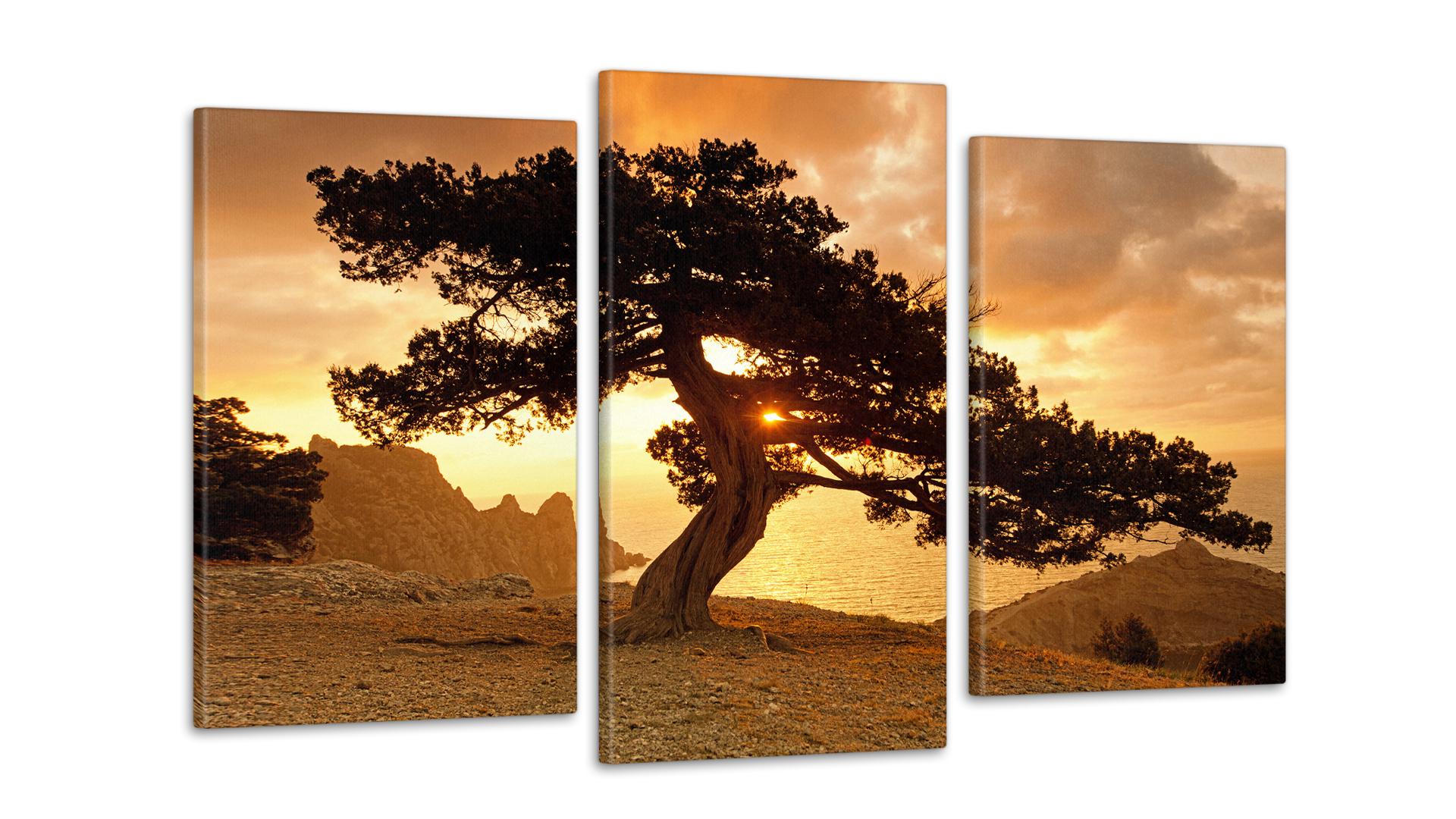 Модульная картина Природа Дерево 53x100 см (Art-82_3)