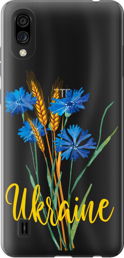Чехол на ZTE Blade A5 2020 Ukraine v2 (5445u-2111-42517) Чехол на ZTE Blade A5 2020 Ukraine v2 (5445u-2111-42517)