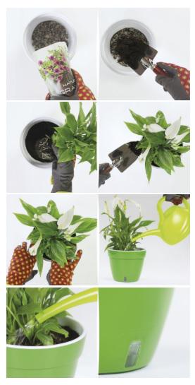 Горшок для цветов ASTI 6 л Зеленый/Золотой/Белый - фото 2 Горшок для цветов ASTI 6 л Зеленый/Золотой/Белый - фото 2