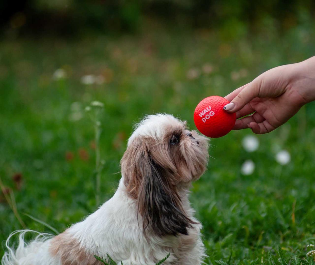 Іграшка для собак Waudog Fun Red Ball (6001) - фото 9 Іграшка для собак Waudog Fun Red Ball (6001) - фото 9