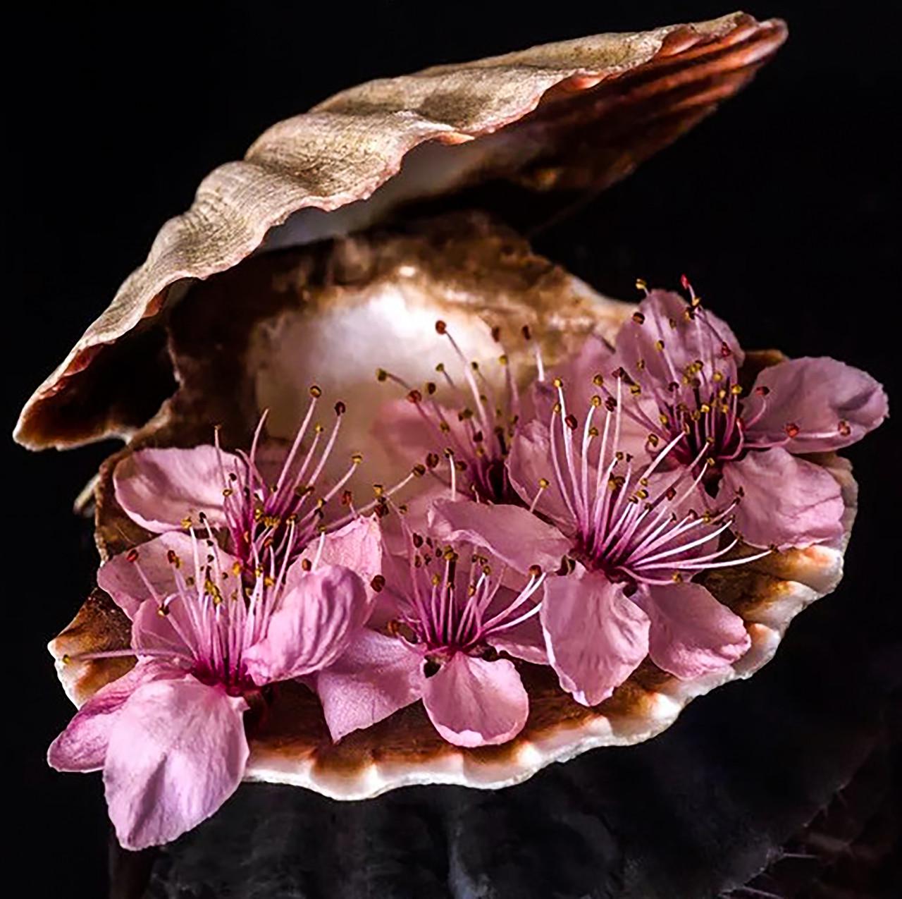 Набір алмазної вишивки Черепашка з квітами 46x46 см (АЛК-083)