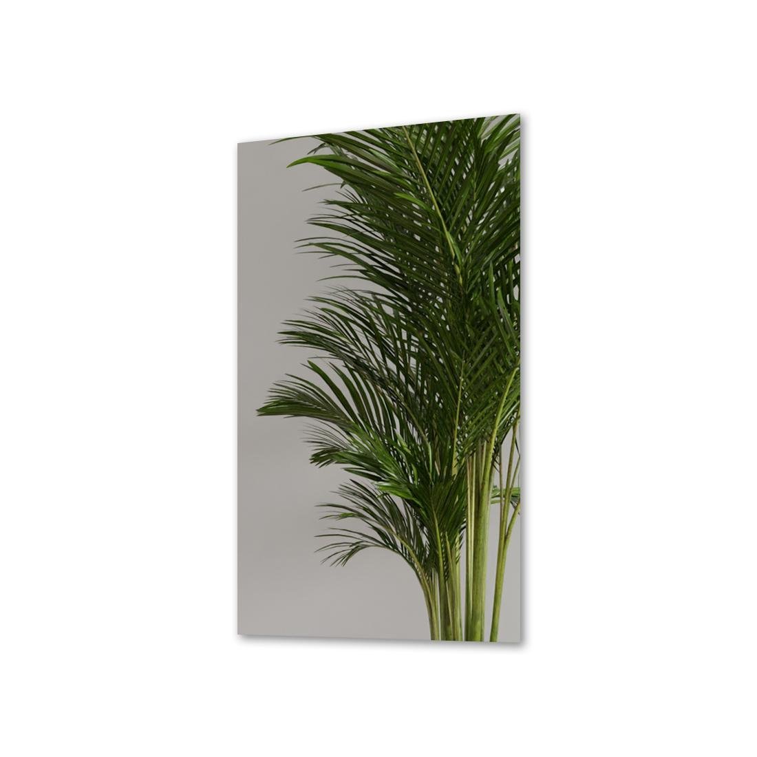 Зеркало прямоугольное La Mir Lucia без подсветки 50x70 см (Lucia-50x70/)