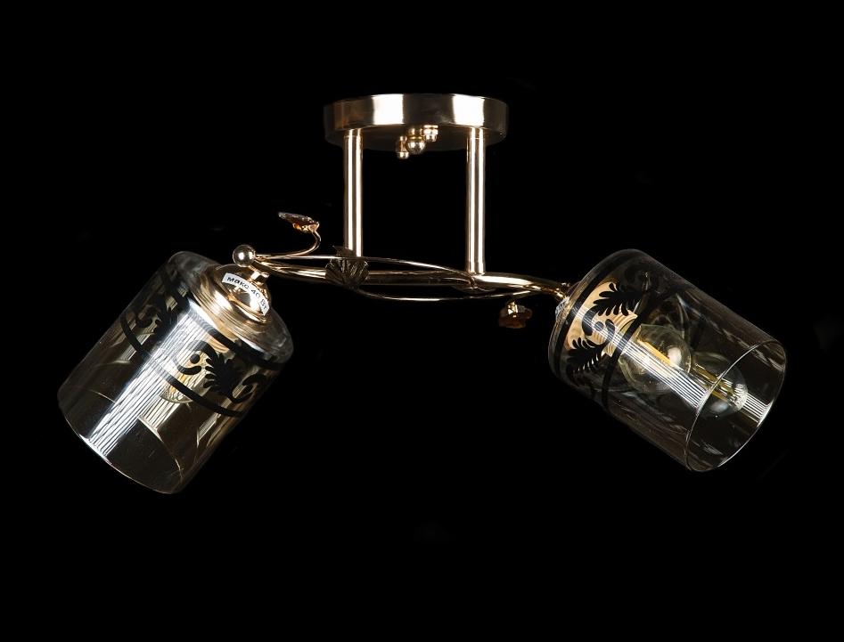 Люстра с плафонами Splendid Ray (L9654A/2 FGD) Люстра с плафонами Splendid Ray (L9654A/2 FGD)