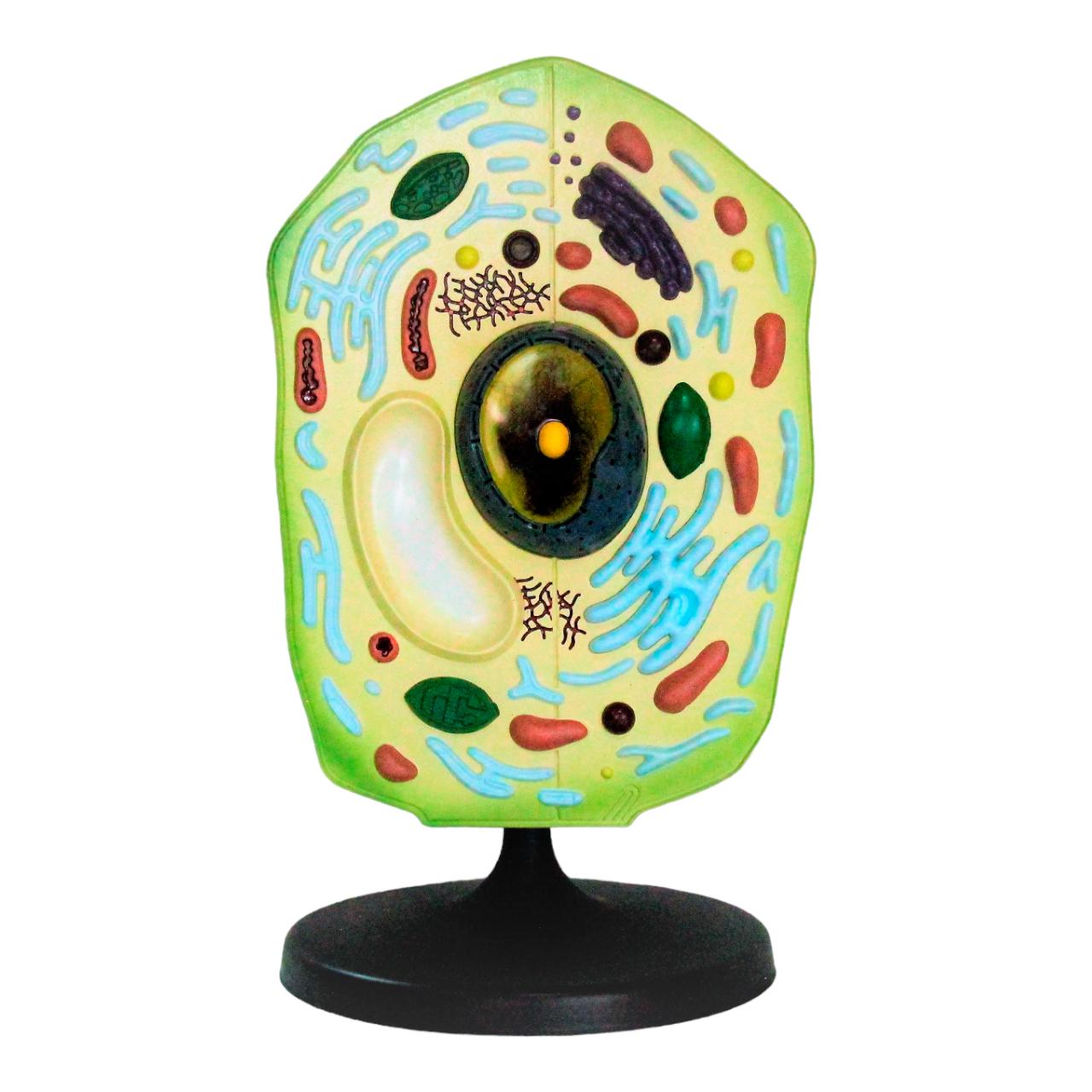 Макет рослинна клітка Руді пластикова 48х27х26 см (Б006у)