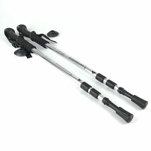 Палки для скандинавской ходьбы EasyFit Anti-shock Серебряный (2686901640)