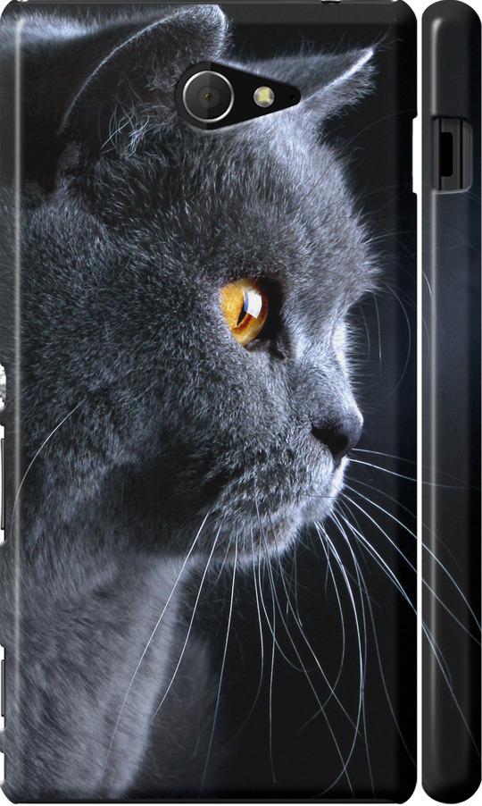 Чехол на Sony Xperia M2 D2305 Красивый кот (3038c-60-42517) Чехол на Sony Xperia M2 D2305 Красивый кот (3038c-60-42517)