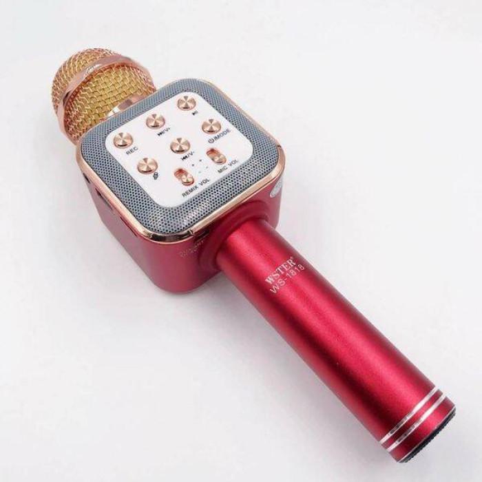 Микрофон-караоке Wster WS-1818 с USB/microSD/AUX/FM/Bluetooth (12926-1) - фото 2