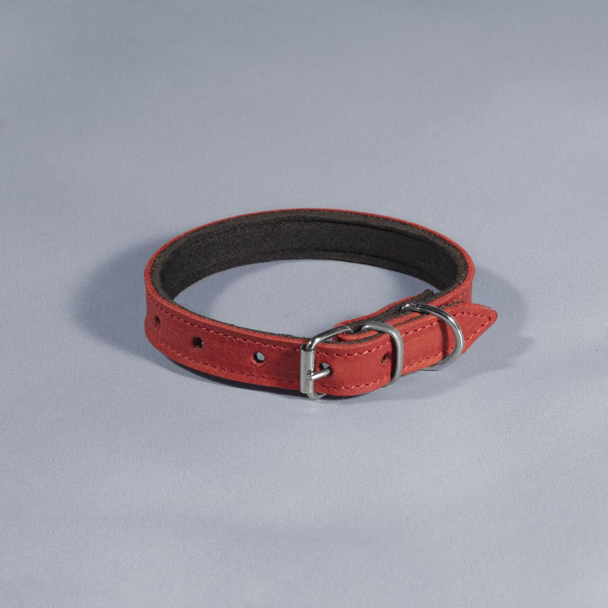 Ошейник для животных кожаный Деликат с подкладкой неопрен 16 мм х 23-31 см Красный (2296447533) - фото 1 Ошейник для животных кожаный Деликат с подкладкой неопрен 16 мм х 23-31 см Красный (2296447533) - фото 1