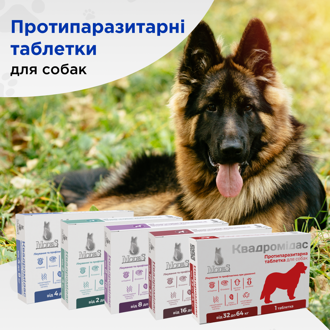 Таблетки протипаразитарні ModeS Квадромідас для собак 2-4 кг 0,2 г (27849786) - фото 5 Таблетки протипаразитарні ModeS Квадромідас для собак 2-4 кг 0,2 г (27849786) - фото 5