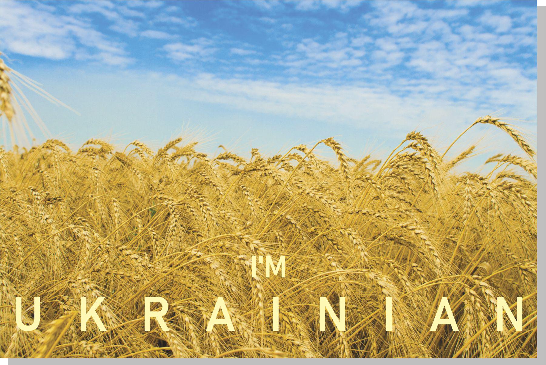 Картина патриотическая Apriori "I'am Ukrainian" 20 вид 30х40 см