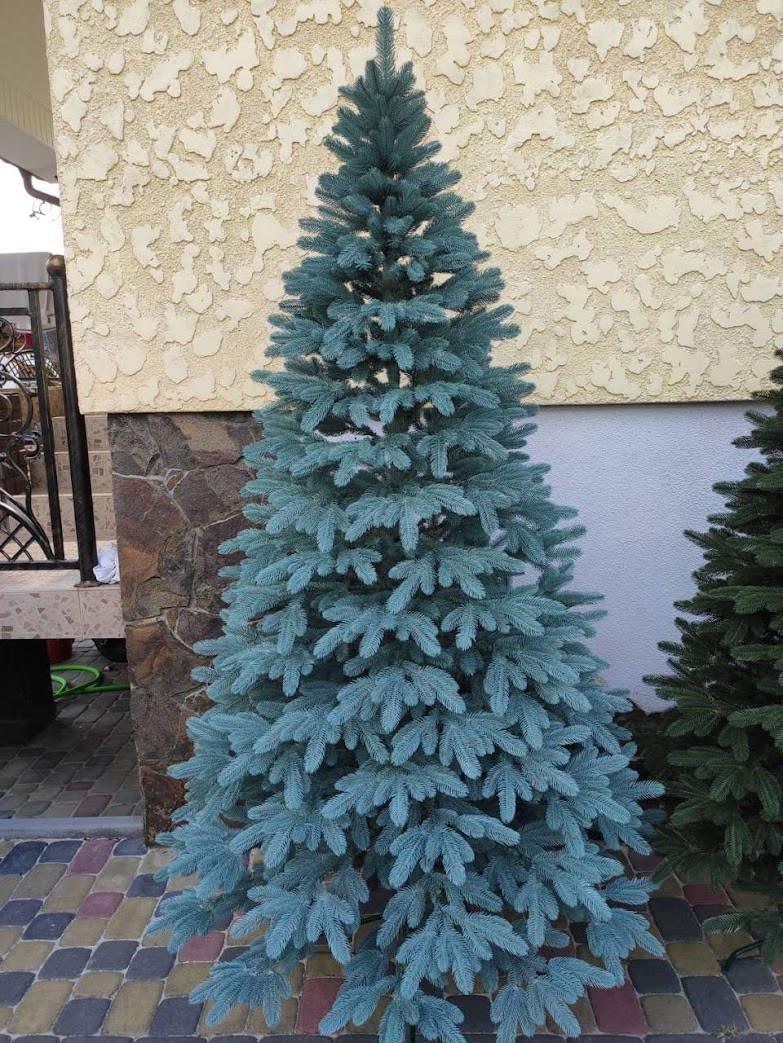 Искусственная елка литая Королевская 250 см Голубой (КГЛ250)