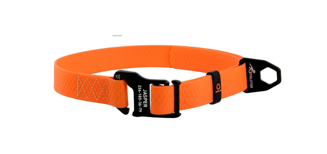 Ошейник Evolutor для собак средних и крупных пород 25-70 см оранжевый (42434)