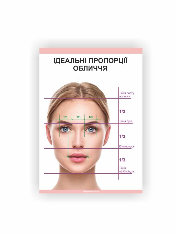 Плакат Vivay Идеальные пропорции лица 30х40 см (25635559)