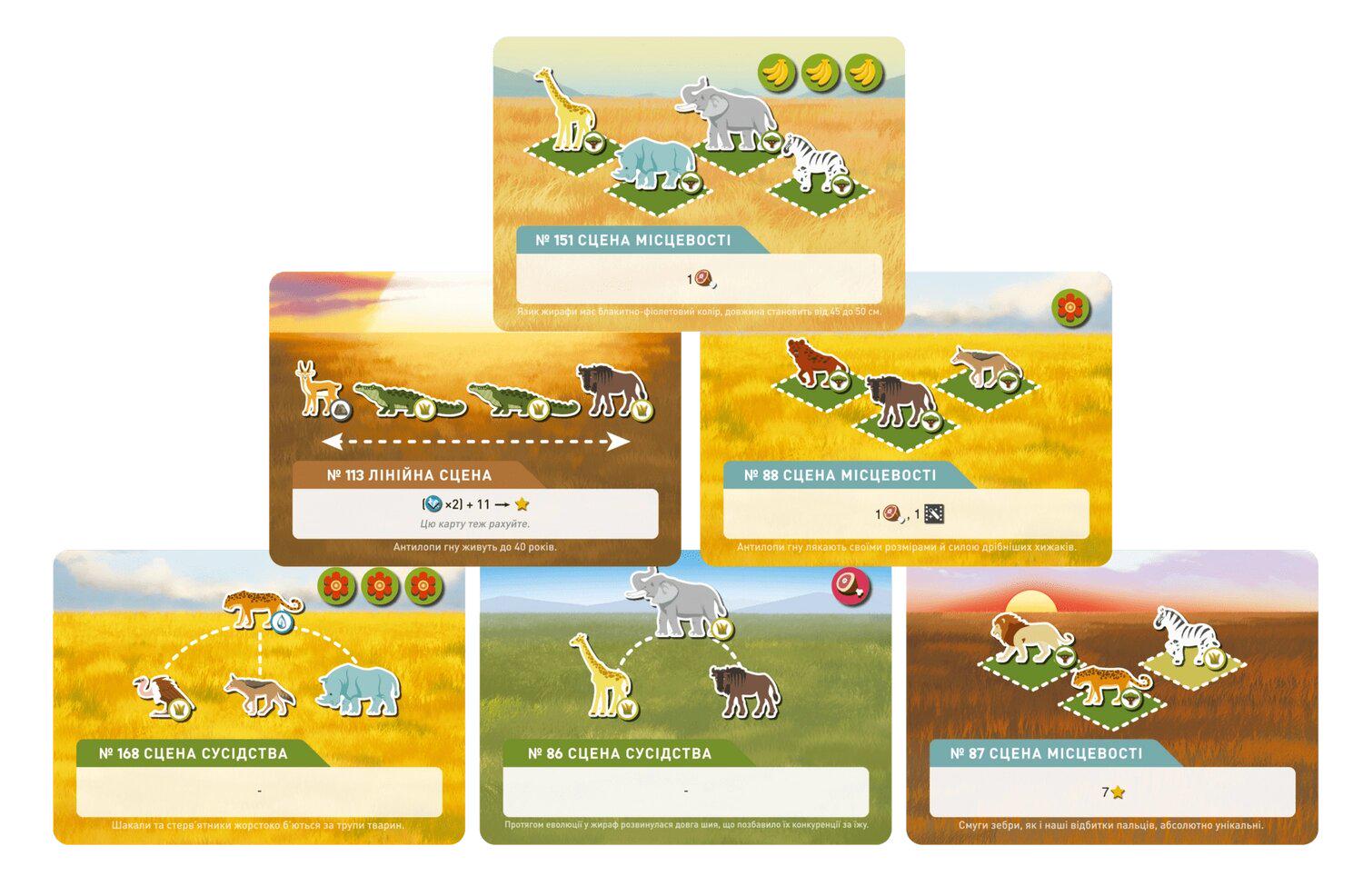 Настільна гра "Дика природа Серенгеті" (1497489339) - фото 4 Настільна гра "Дика природа Серенгеті" (1497489339) - фото 4