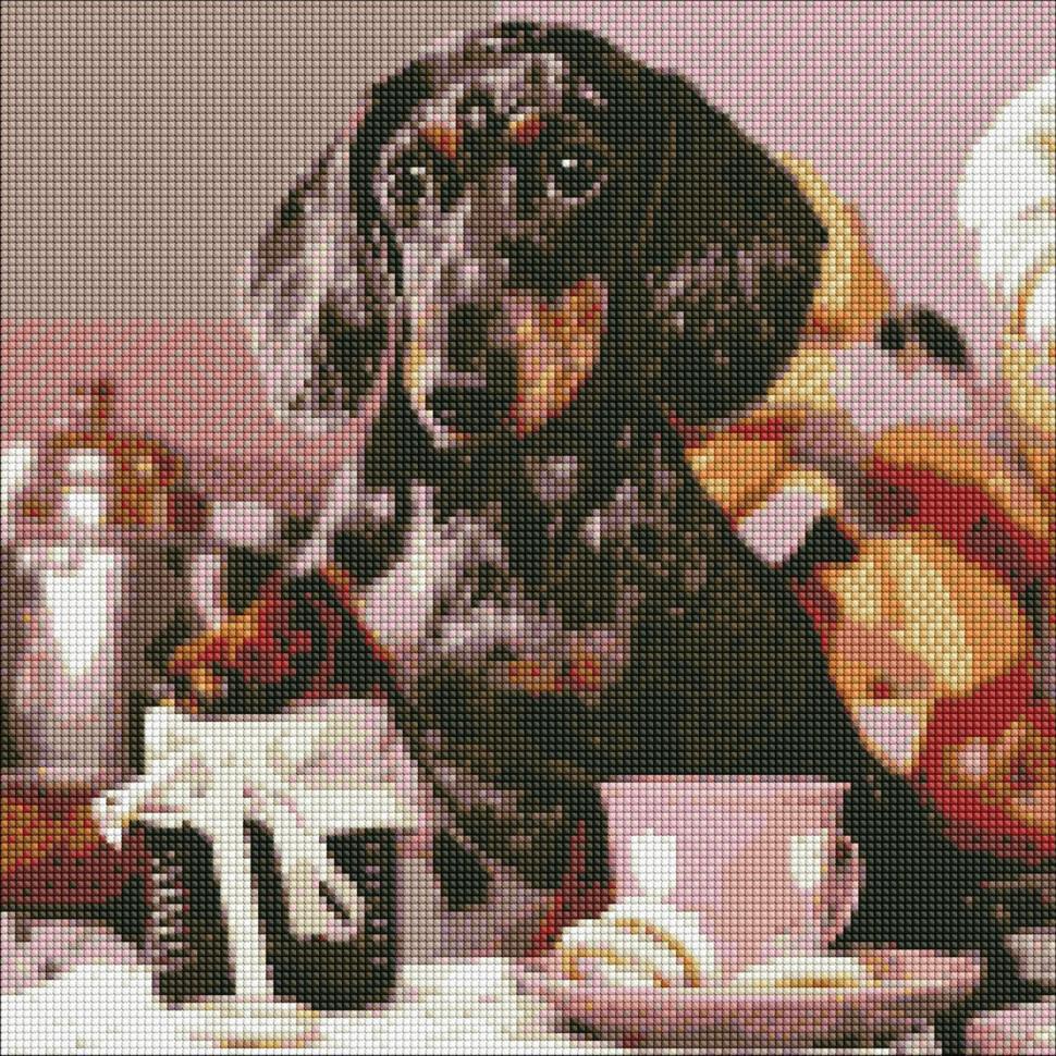 Алмазная мозаика Идейка Пушистый повар 40x40 см (AMO7414)