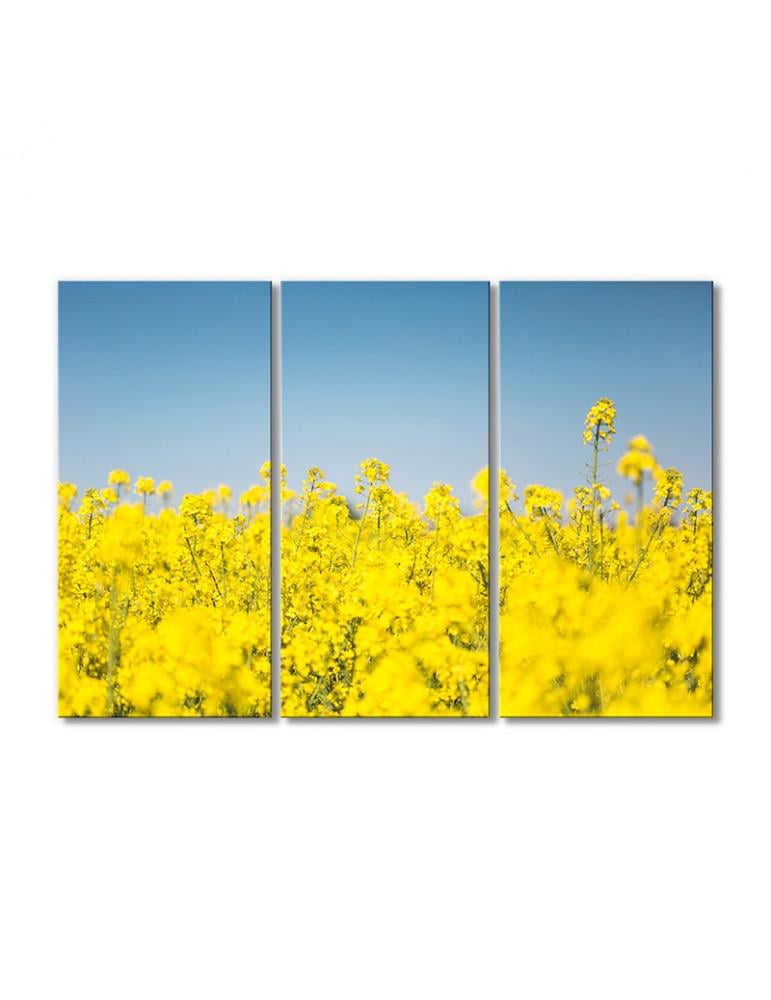 Картина модульная Рапсовое поле 3 модуля 80x120 см