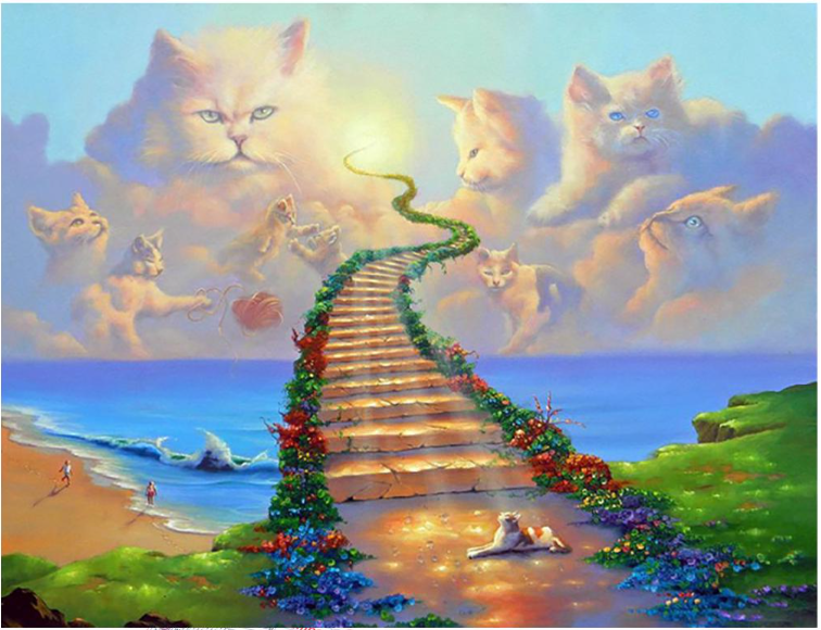 Алмазная мозаика Cornix Art AY46 40x30 см (4310) Алмазная мозаика Cornix Art AY46 40x30 см (4310)