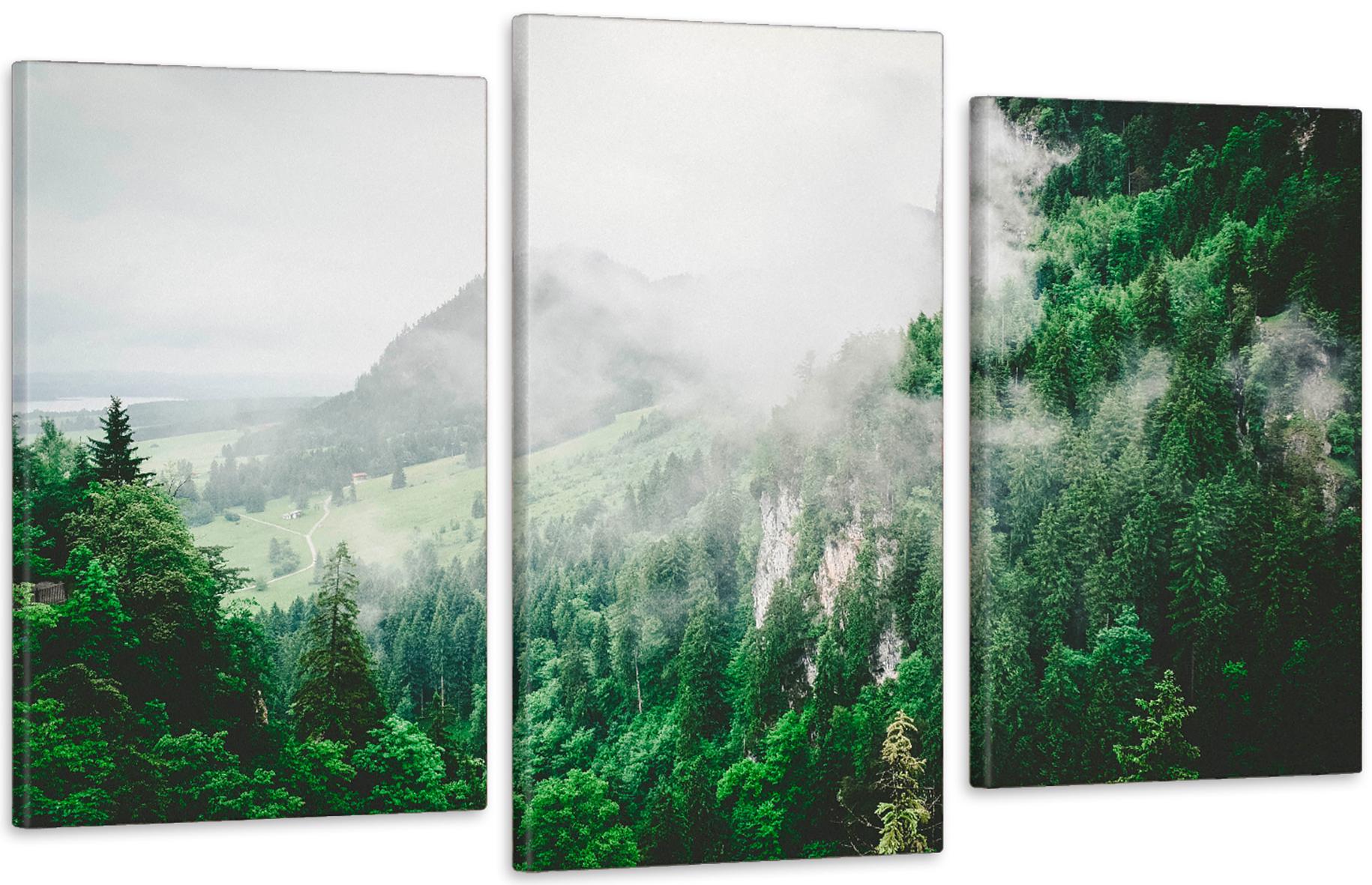 Картина модульная в гостиную/спальню Горы в тумане 53х100 см (Art-604_3)