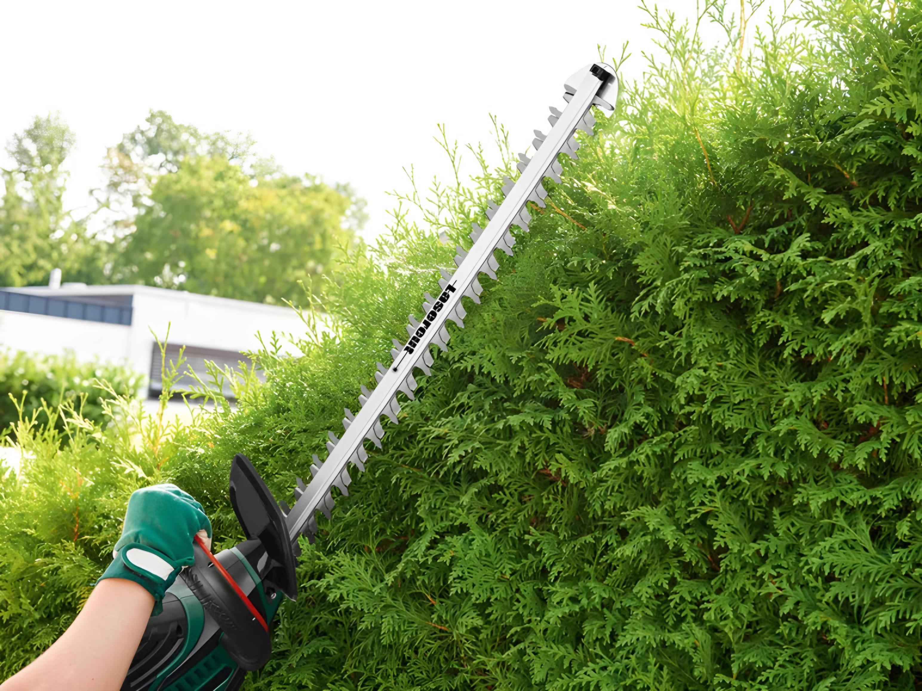 Кущоріз електричний PARKSIDE PHS 600 C3 (G10022) - фото 6 Кущоріз електричний PARKSIDE PHS 600 C3 (G10022) - фото 6