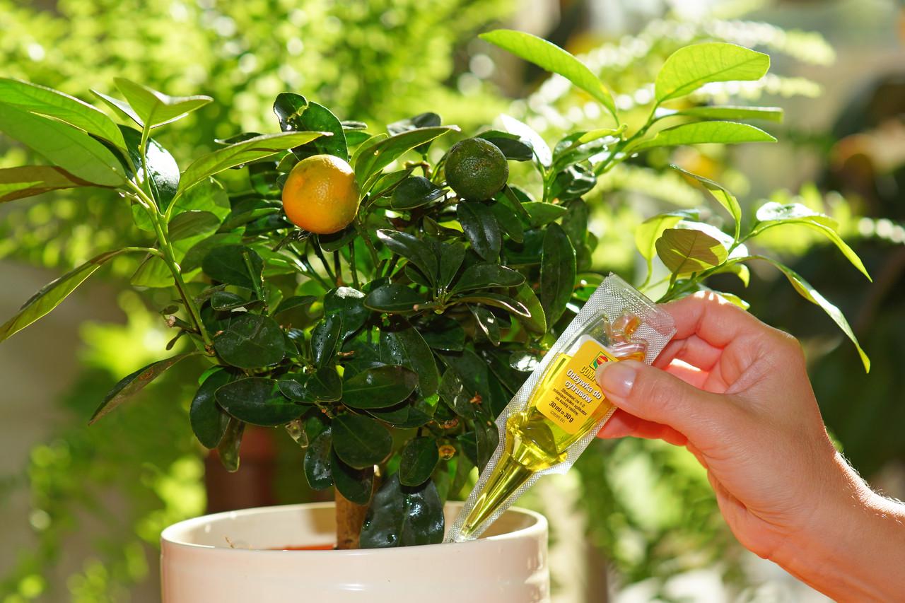 Добриво-аплікатор Compo для догляду цитрусових рослин 30 мл (3285) - фото 2 Добриво-аплікатор Compo для догляду цитрусових рослин 30 мл (3285) - фото 2