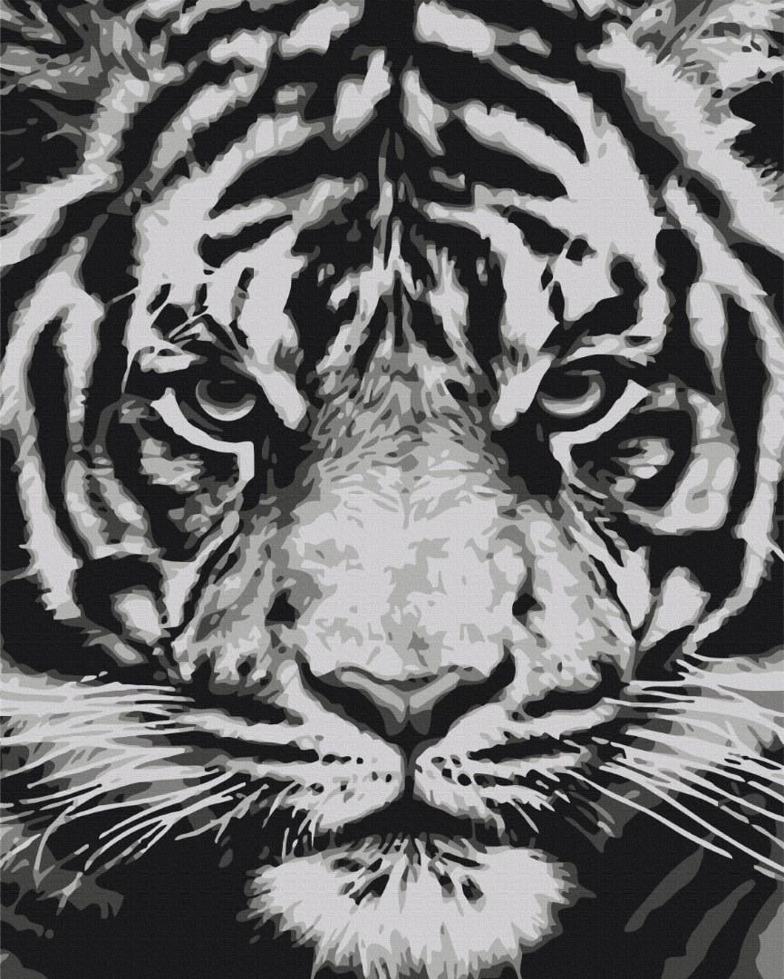 Картина по номерам Brushme Взгляд зверя 40x50 см (BS52214)