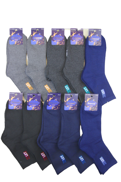 Шкарпетки підліткові махрові Фенна №5005 2 10 пар р. 36-40