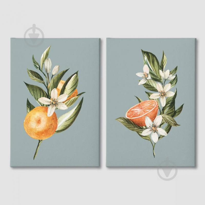 Модульная картина из двух частей Апельсин Malevich Store 93x60 см (MK21207)