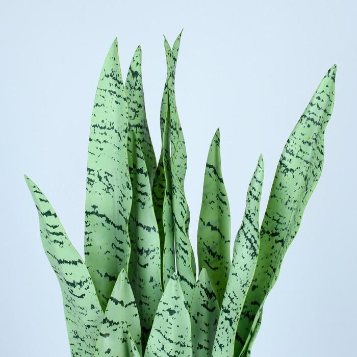 Штучна рослина Engard Sansevieria 65 см (DW-11) - фото 3