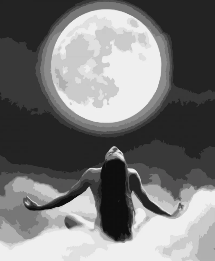 Картина по номерам Strateg Тело в лучах луны 40x50 см (VA-3730)