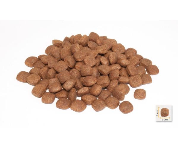 Корм сухий BonaCibo Puppy з м'ясом ягняти та рисом для цуценят всіх порід до 12 місяців 3 кг - фото 2 Корм сухий BonaCibo Puppy з м'ясом ягняти та рисом для цуценят всіх порід до 12 місяців 3 кг - фото 2