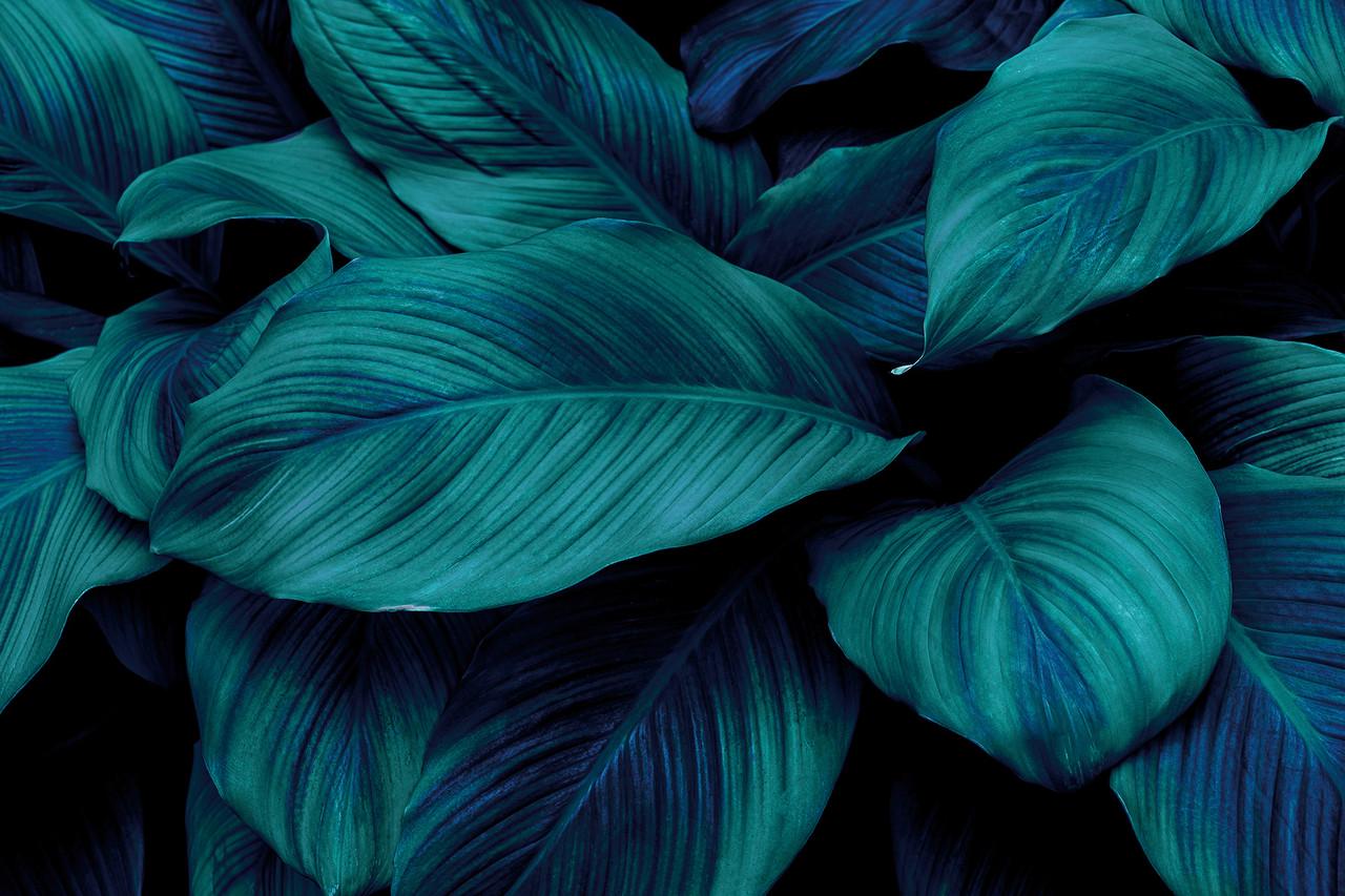 Фотофон виниловый Frontlit 150x100 см 450 г/м2 №56618 Фотофон виниловый Frontlit 150x100 см 450 г/м2 №56618