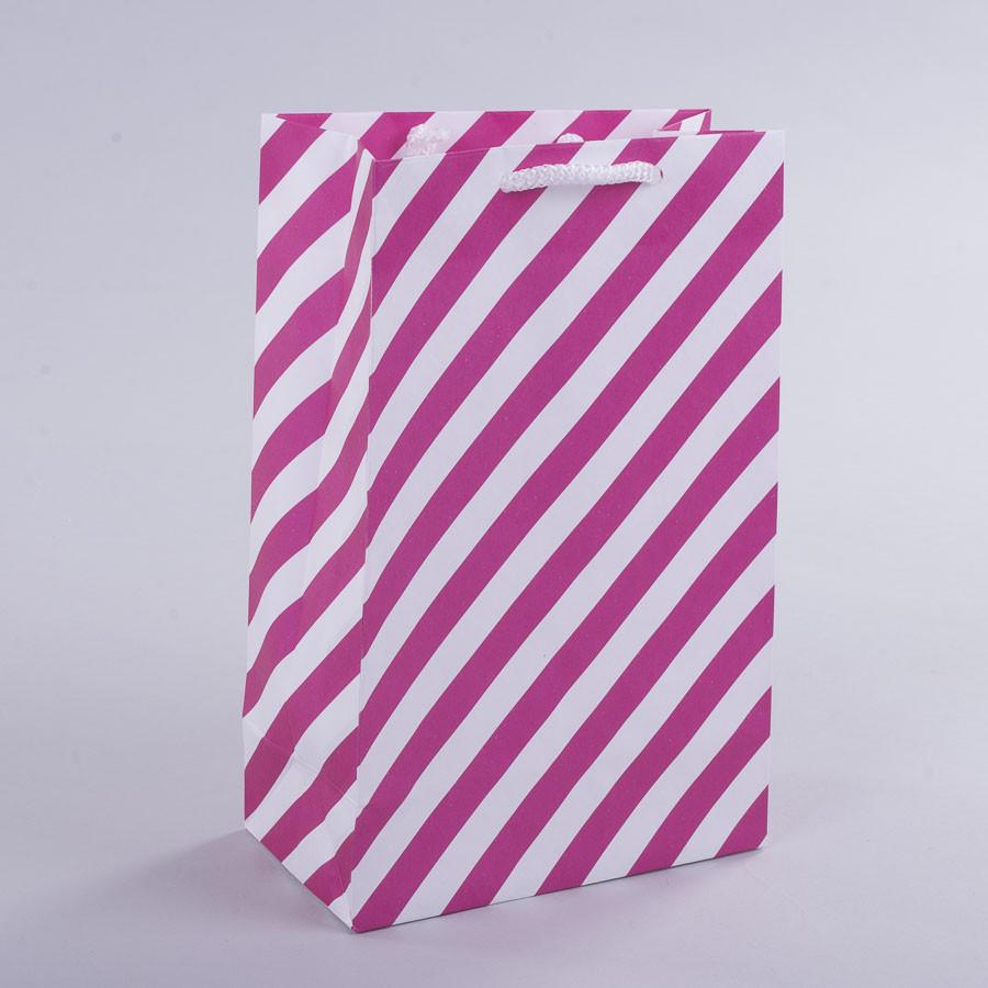 Пакет TMK косая полоска 23х15х8 см (1446-tmk-102)