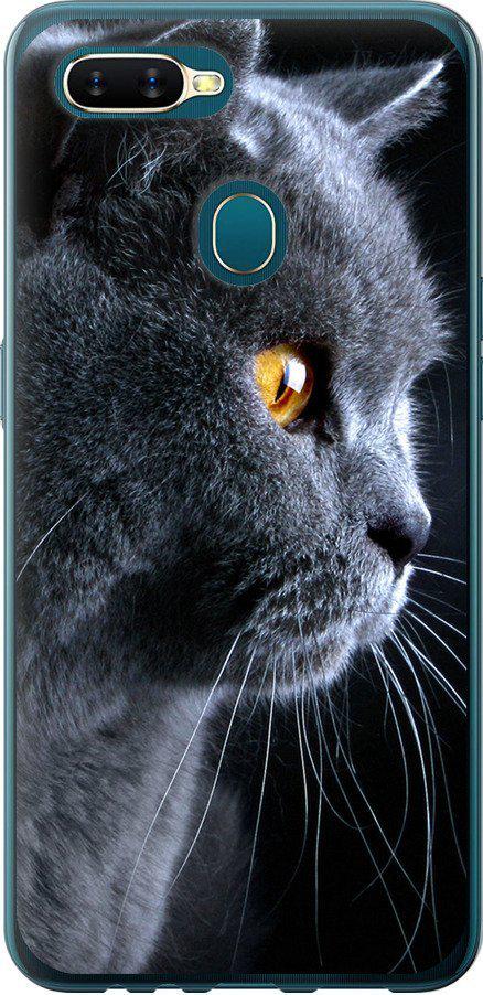 Чехол на Oppo A5S Красивый кот (3038u-1892-42517)