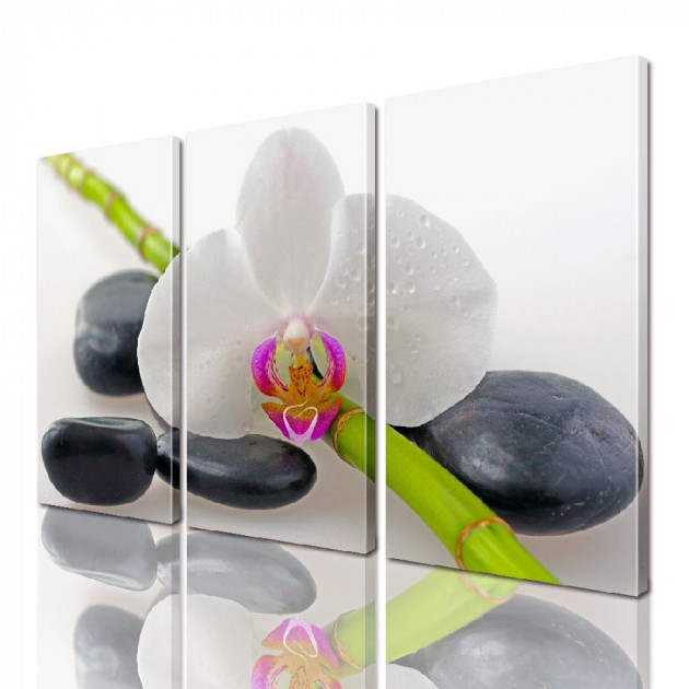 Картина модульная ArtStar Орхидея ADFL0144 150х180 см 3 части