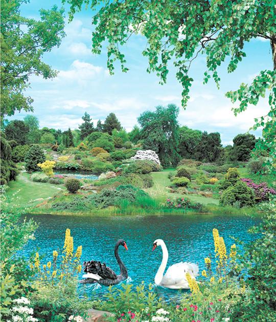 Фотообои на бумажной основе Ника Равновесие 15Л 242х207 см (2000000454283)