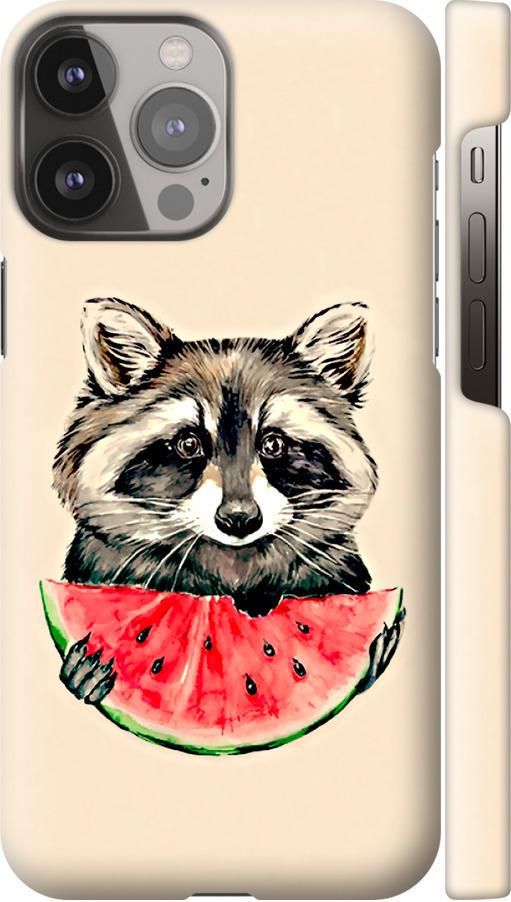 Чехол на iPhone 13 Pro Max Енотик с арбузом (4605m-2371-42517)