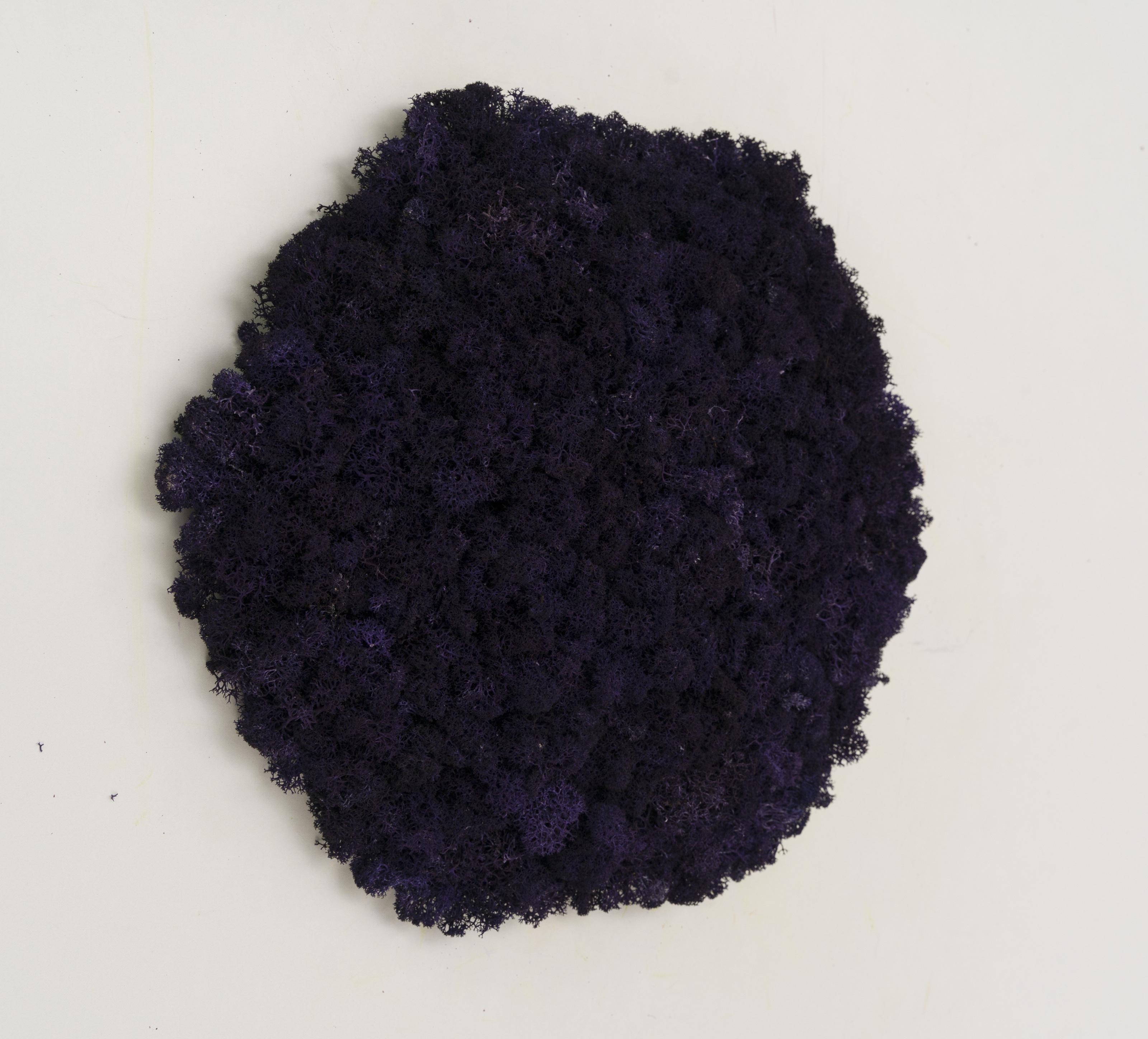 Декоративное панно из мха Organic Design шестиугольная панель 33 см Purple (702-11) - фото 2 Декоративное панно из мха Organic Design шестиугольная панель 33 см Purple (702-11) - фото 2