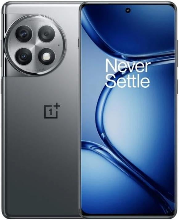 Смартфон OnePlus Ace 2 Pro 12/256GB Titanium Grey