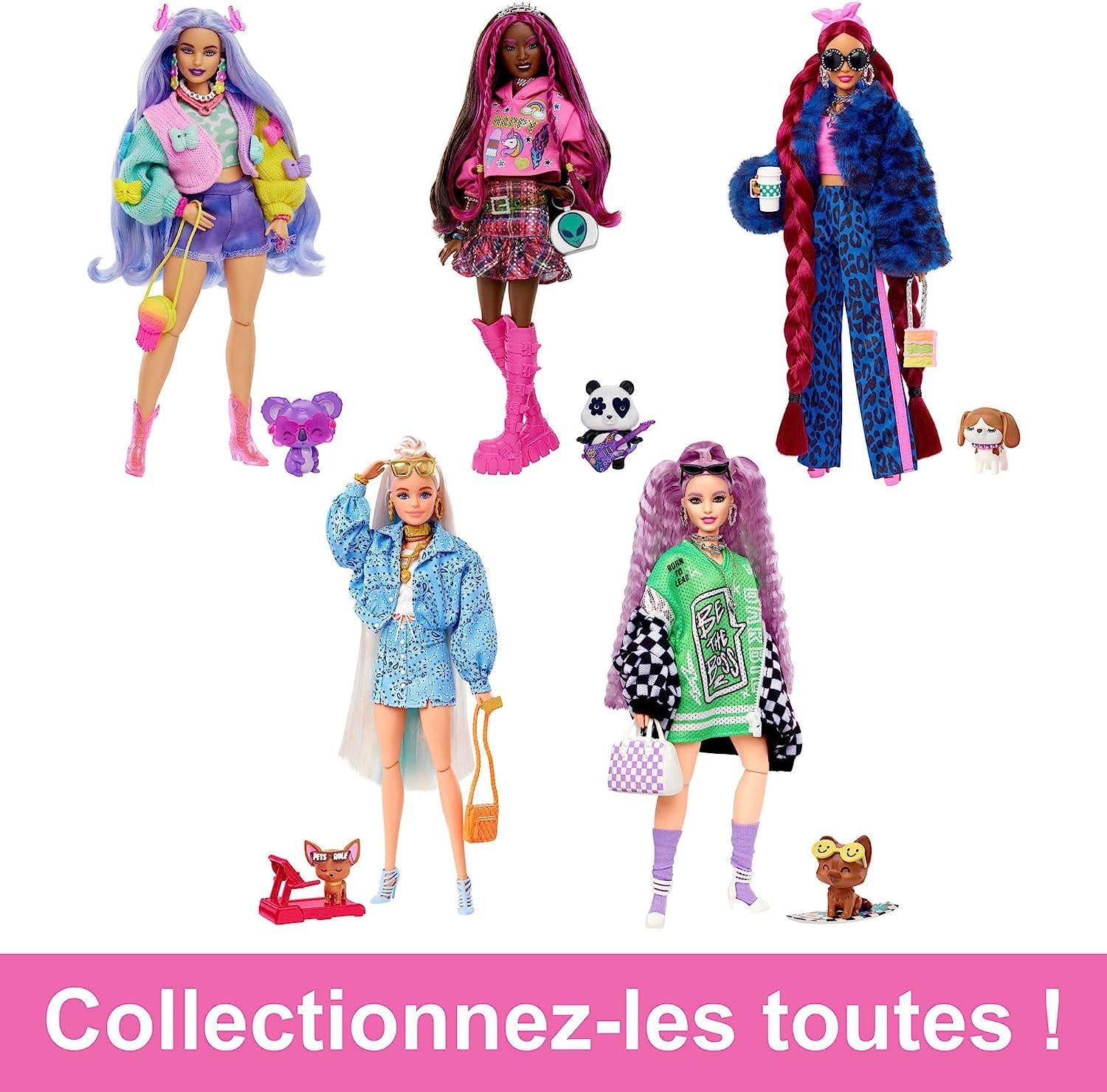 ᐉ Кукла Barbie Extra Doll Pink-Streaked Brunette Hair with Pet