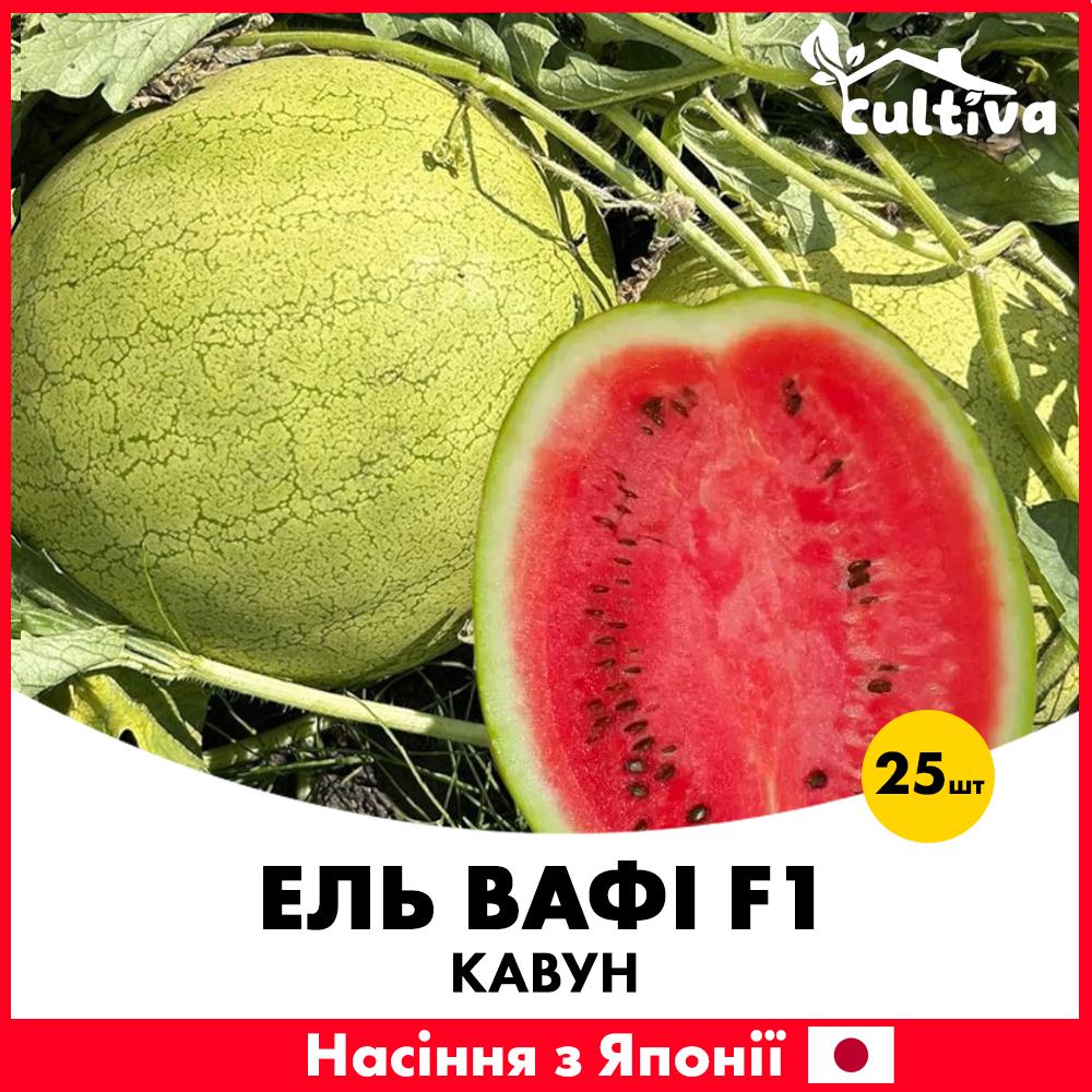Насіння кавуну Sakata Ель Вафі F1 25 шт. (R51044)