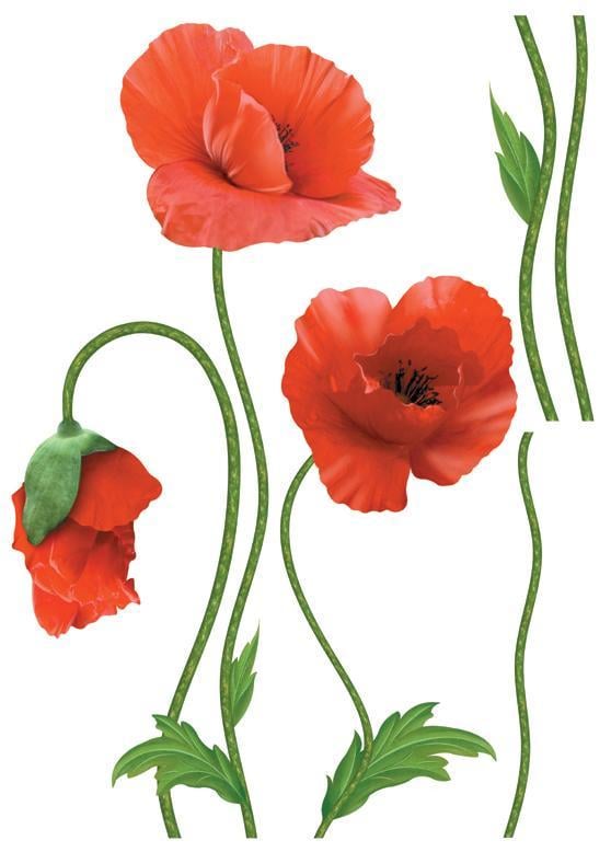 Декоративная наклейка Арт-Декор 4 Маки 50х70 см (2000000535753)