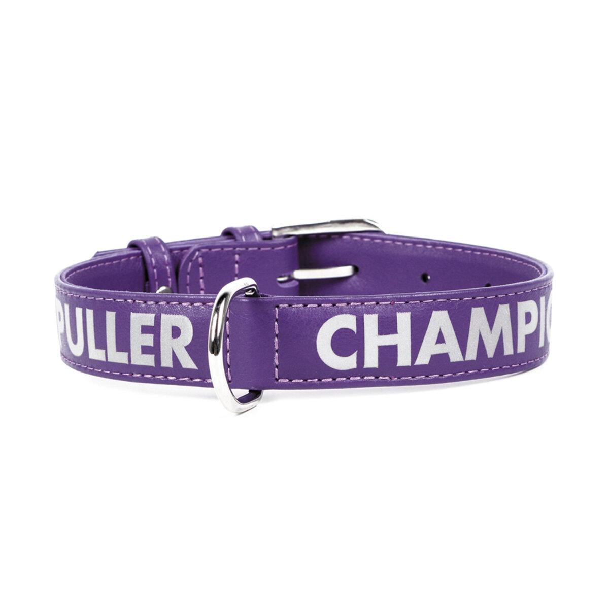 Ошейник DOG PULLER CHAMPION ширина 25 мм Д 38-49см Фиолетовый